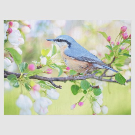 vogel in het document van het lentestuk tissuepapier (Voorkant)