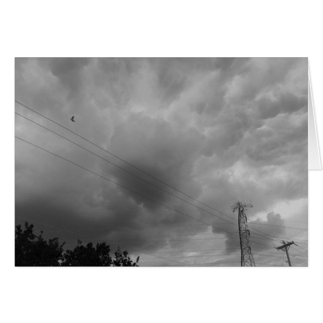 Vogel in het kloudschap / Noir (Voorkant Horizontaal)