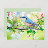 vogel in het voorjaar briefkaart (Voorkant / Achterkant)