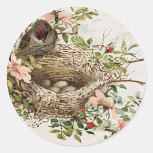  vogel in nestdierafdrukken ronde sticker