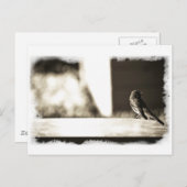 Vogel in Sepia Briefkaart (Voorkant / Achterkant)