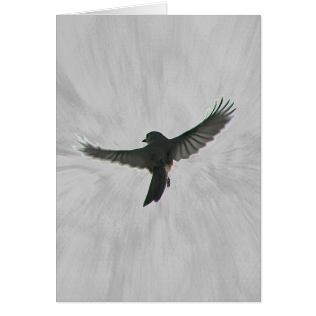 Vogel in vlucht (Voorkant)