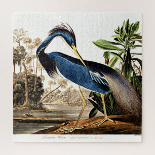 Vogel - Louisiana Heron door John James Audubon Legpuzzel