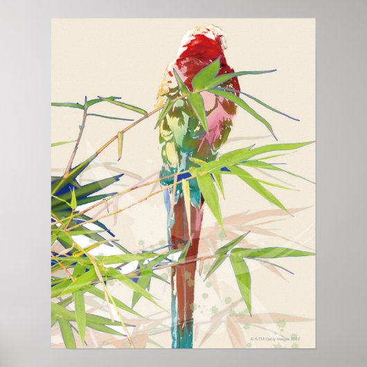Vogel met Bamboe Leaves Poster (Voorkant)