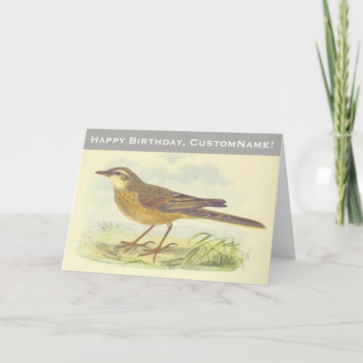 Vogel met bruine bodem op de grond kaart (Voorkant)