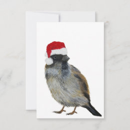 Vogel met kerstmuts Vakantiekaart Bedankkaart