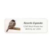Vogel op bijkantoor Young Junvenile Black Phoebe Etiket (Voorkant)