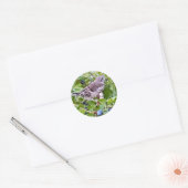 Vogel op Blueberry Branch Sticker (Envelop)