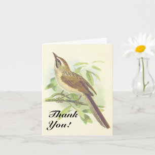Vogel op een boomtak, "Dank je!" Kaart