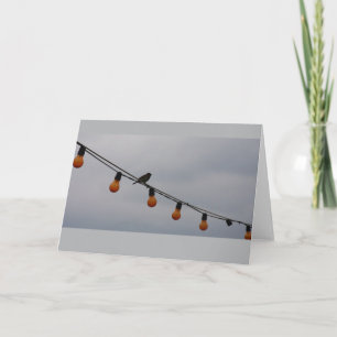 Vogel op een Draad - het Art. van de Foto Kaart