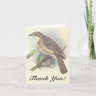 Vogel op een filiaal, "Dank je!" kijk Kaart