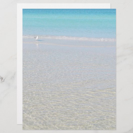 Vogel op het strand Briefpapier (Voorkant / Achterkant)