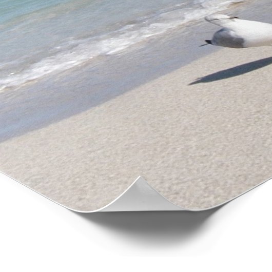 Vogel op het strand poster (Hoek)