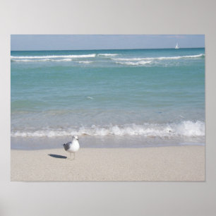 Vogel op het strand poster