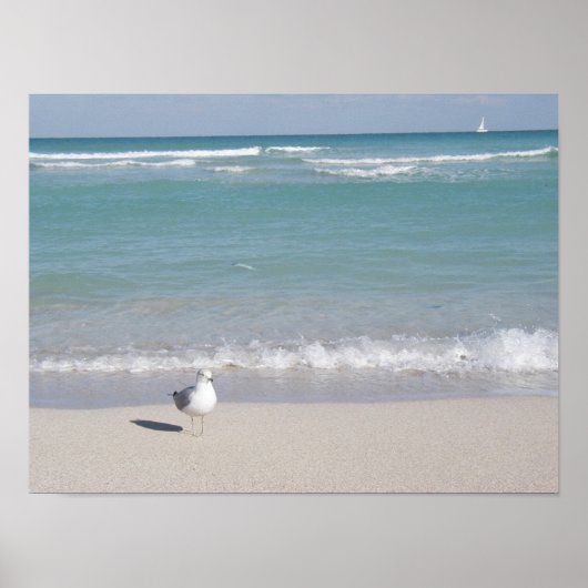 Vogel op het strand poster (Voorkant)