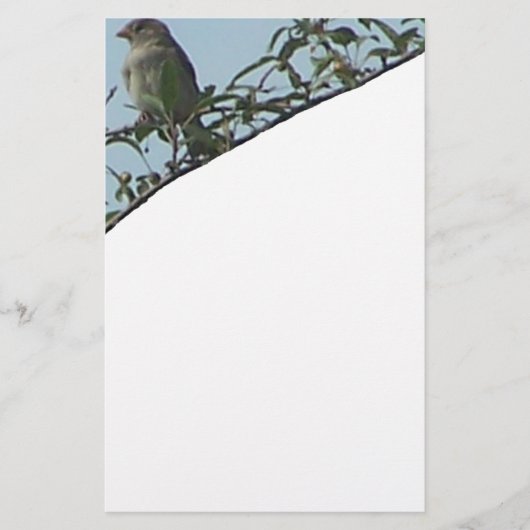 vogel op tak briefpapier (Voorkant)