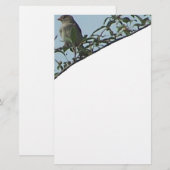 vogel op tak briefpapier (Voorkant / Achterkant)
