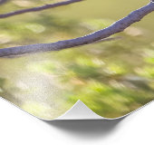 Vogel op Twig (Bushtit) Foto Afdruk (Hoek)