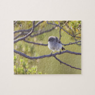 Vogel op Twig (Bushtit) Puzzel Legpuzzel