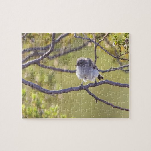 Vogel op Twig (Bushtit) Puzzel Legpuzzel (Horizontaal)