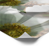 Vogel op White Cosmos Fantasy Art Poster (Hoek)