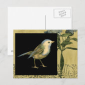 Vogel op zwarte en  achtergrond briefkaart (Voorkant / Achterkant)