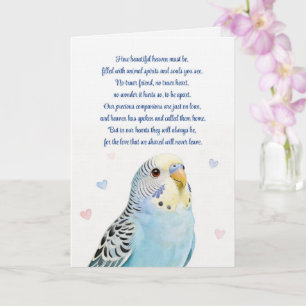 Vogel Parkiet Sympathie Verlies van Vogel Spiritue Kaart