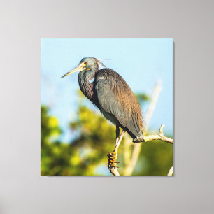 Vogel Perfect 35,70 x 37 opgespannen canvasprint Canvas Afdruk