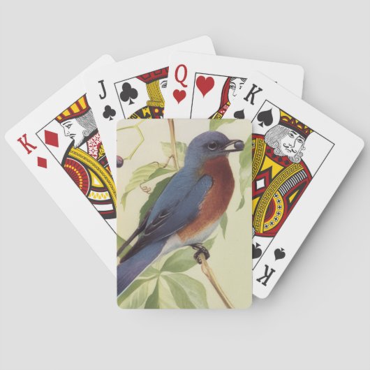 Vogel Speelkaarten (Achterkant)