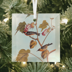 Vogel van Audubon Bay Breasted Warbler op Plant va Glas Ornament