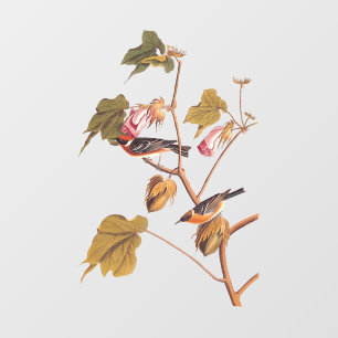 Vogel van Audubon Bay Breasted Warbler op Plant va Raamsticker