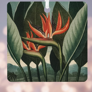 vogel van de Botanische tempel van Flora van het Metalen Ornament