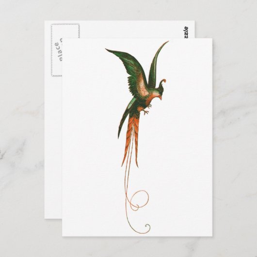 Vogel van de kunst van het Paradijs Briefkaart (Voorkant / Achterkant)