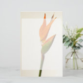 Vogel van de paradijsbloem briefpapier (Staand voorkant)