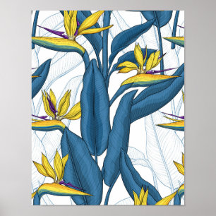 Vogel van de paradijsbloemen op wit poster