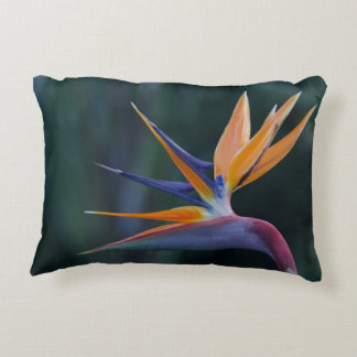 Vogel van de Paradise Accent Pillow Kussen
