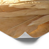 Vogel van de Schoonheid van de Fantail Pigeon Poster (Hoek)