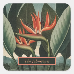 Vogel van de  tempel van Flora van het Paradijs me Vierkante Sticker