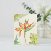 Vogel van het briefkaart van Paradise (Staand voorkant)