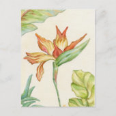 Vogel van het briefkaart van Paradise (Voorkant)