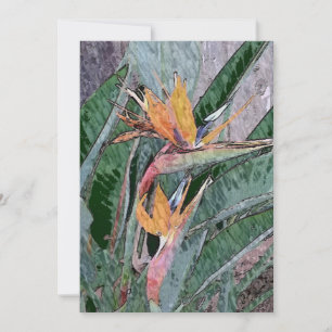 Vogel van het Paradijs Bedankkaart