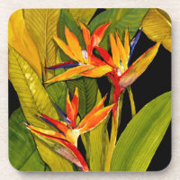 Vogel van het Paradijs