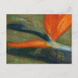 Vogel van het Paradijs, Briefkaart