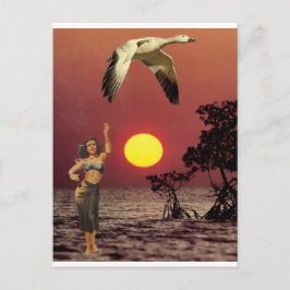 Vogel van het Paradijs - Briefkaart