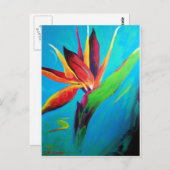 Vogel van het Paradijs Briefkaart (Voorkant / Achterkant)