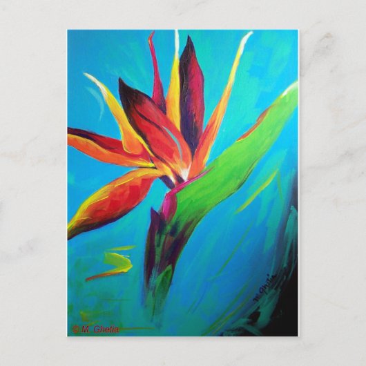 Vogel van het Paradijs Briefkaart (Voorkant)