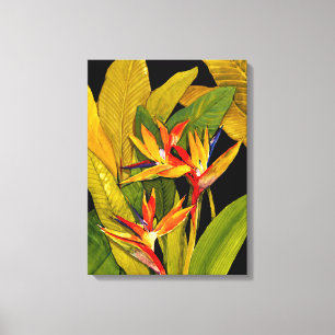 Vogel van het Paradijs Canvas Afdruk