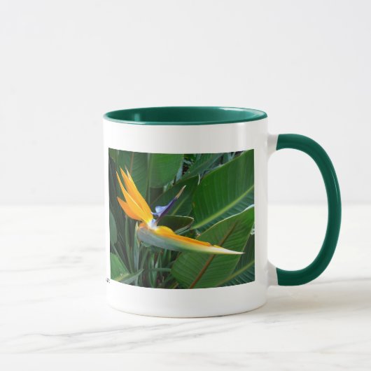 Vogel van het Paradijs Mok (Rechts)