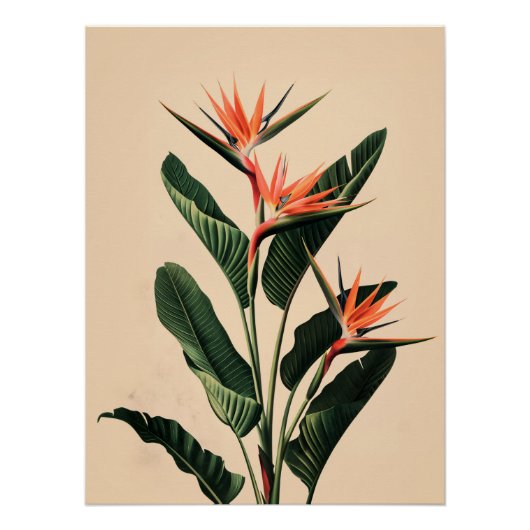 Vogel van het Paradijs Perfect Poster (Voorkant)