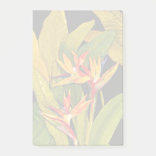 Vogel van het Paradijs Post-it® Notes (Voorkant)
